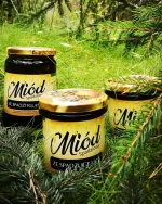 miód spadziowy ze spadzi iglastej