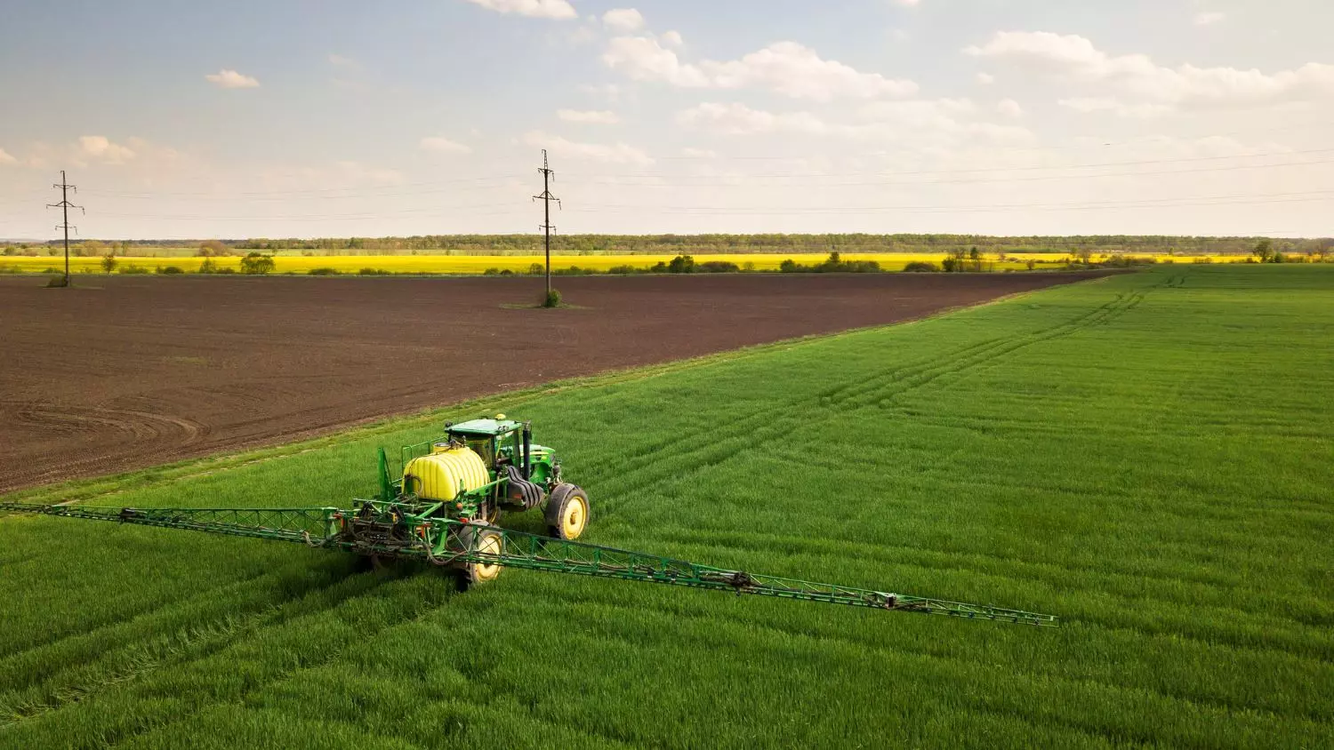 Jak nawozy wpływają na zdrowie pszczół?